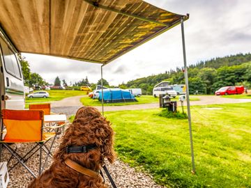 Grass and hardstanding pitches