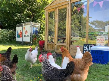 Tourist information, calor gas sales and fresh eggs from our chickens for sale