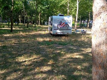Shaded grass and earth pitch with electric hook-up