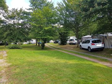 Grass pitches