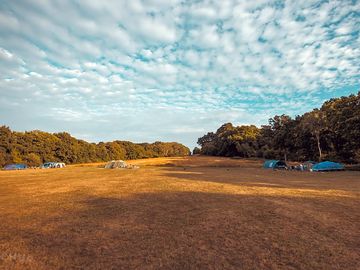 Tent field