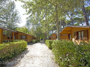 On the way to the cabins