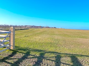 Grass pitches