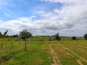 View to the west