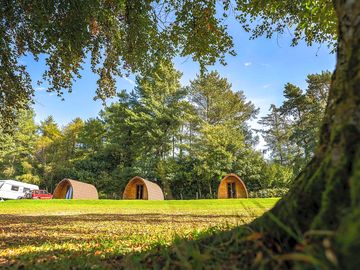 Camping pods