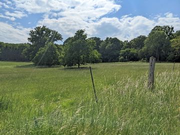 Views of the field