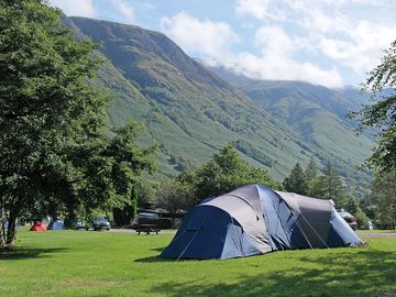Grass tent pitches