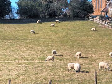 Countryside views
