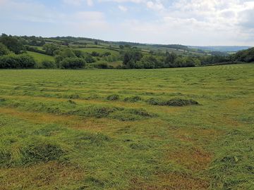 View of tamar valley (added by manager 23 may 2021)