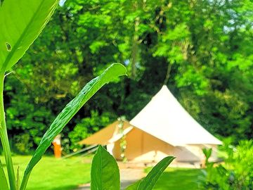 The deluxe tent