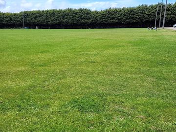 The site's grounds