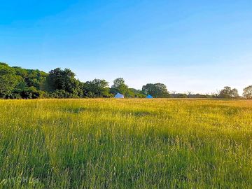 The meadow on a summer's day (added by manager 01 feb 2022)