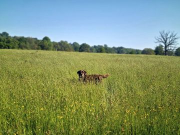 Lovely walk