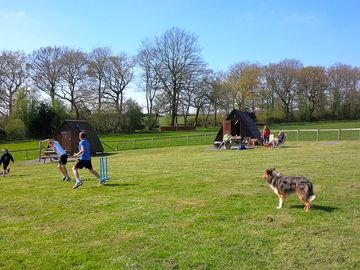 Space for kids and dogs to run about