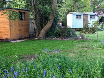 The compost toilet for the shepherd's hut is just a few steps away
