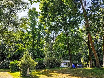 Pitches among the trees