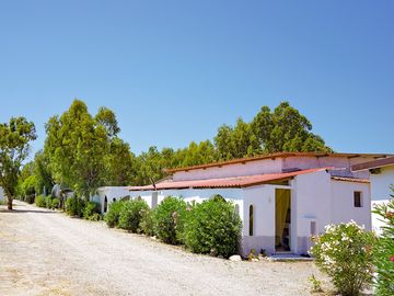 Bungalows surrounded by trees