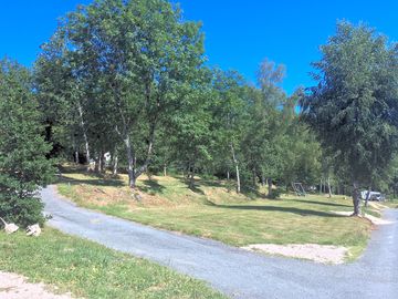 Trees around the pitches (added by manager 06 aug 2019)