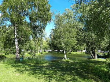 Greenery around site