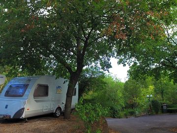 Pitches under the trees