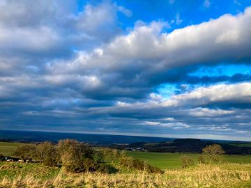 Rural views