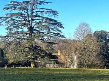 The back lawn of foxlease house
