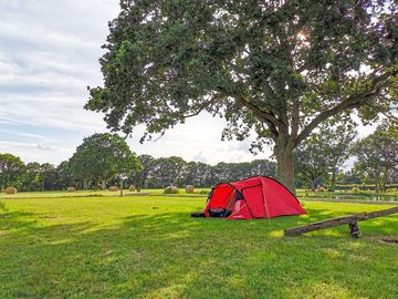 Visitor images of pitches on site