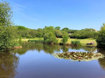 Small lake in the main camping field