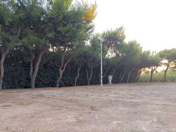 Tree-lined pitches (added by manager 06 jul 2022)