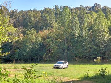 Pitches surrounded by trees