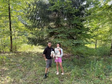 Dog-friendly camping woth lots of woodland trails