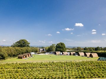 Quantock paddock