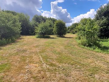 Meadow pitches