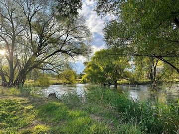 Tumut river