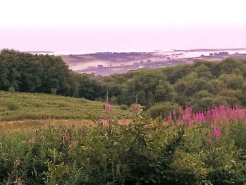 Secluded spot beyond the far blueberry field