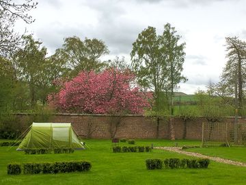 Walled garden pitches