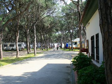 Main street