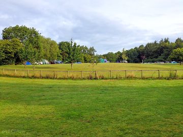 View of the site from the field