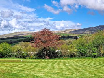 Dart field