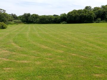 Well-kept field (added by manager 11 aug 2019)