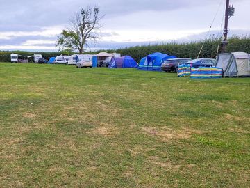 Grass pitches