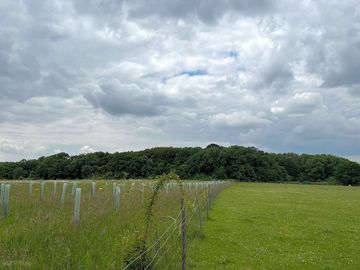 A view from one of the more remote pitches