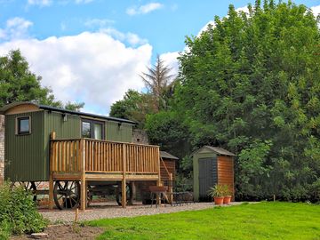 Cedar shepherds hut