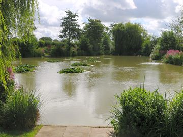 Lake view