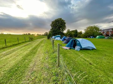 Grassy pitches