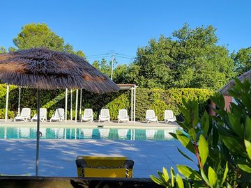 Around the pool