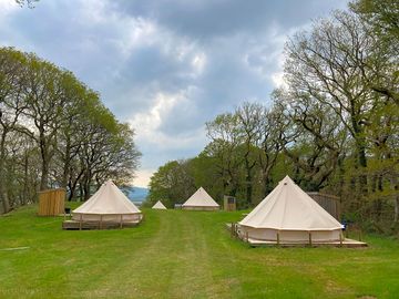 Glamping field