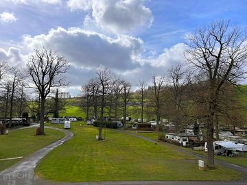 View of the site