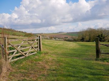 Gate to grass pitch field