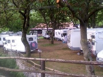 Pitches among the trees